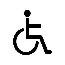 Handicap moteur Handicap moteur